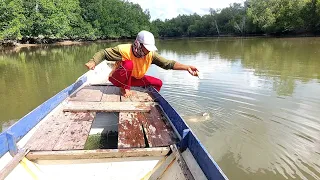 BANYAK SAMBARAN IKAN BABON DISUNGAI INI...!!