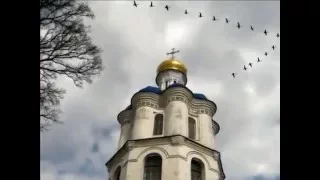 Любите Россию !