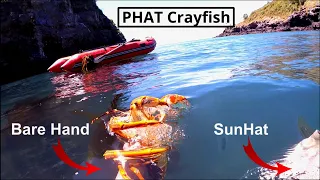 Freediving for Crayfish and Pauas off Banks Peninsula with no Gloves
