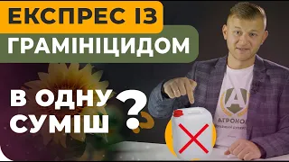 ГРАМІНІЦИД ІЗ ТРИБЕНУРОН-МЕТИЛОМ НА СОНЯШНИК. ЧОМУ НЕ МОЖНА?