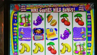 Bonuses on Totally Puzzled, Wild Goose Chase, and Hatch the Cash