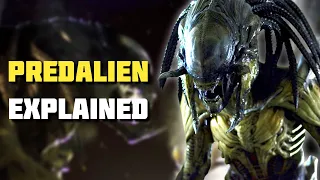 PredAlien - Xenomorph Explained (AVP Lore)