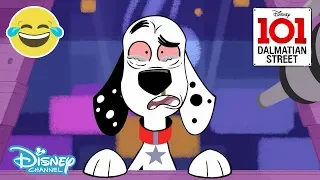 101 Dalmatian Street | Dylan, What Have You Done?! 🔥| Disney Channel UK