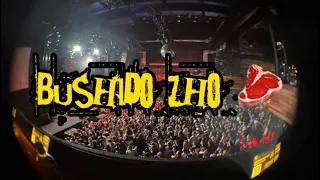 #VLOG1 КОНЦЕРТ BUSHIDO ZHO 08.04.2023