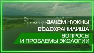 Видео 360 | Зачем нужны водохранилища. Вопросы и проблемы экологии.