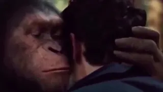 macaco falando no ouvido de um cara