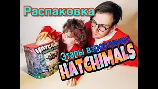 Hatchimals - Хетчималс Попугайчик - интерактивный питомец, вылупляющийся из яйца - Полный обзор