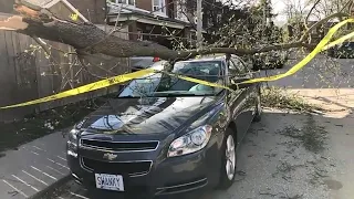 Wild wind storm rips through GTA