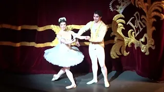 Royal Ballet - 'Sleeping Beauty.' 19/01/23. Mayara Magri/Cesar Corrales.