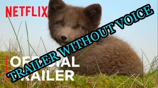 Wild Babies | Official Trailer | Netflix | Without Voice