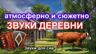 ЗВУКИ ДЕРЕВНИ ЗВУКИ ДЛЯ СНА SOUNDS VILLAGES SOUNDS FOR SLEEP