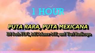 1 Hour PUTA RARA, PUTA MEXICANA - VAI SUA CAVALONA Lyrics | Lighten Mind
