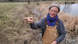 Here is how to make money with stockpiled forage.