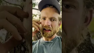 Survivor 46 Hunter Ponderosa Video from Survivor IG