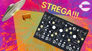 Make Noise Strega - We Shocked Ourselves With It!