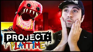 🔴 PROJECT PLAYTIME: Mi primera vez (Gameplay terror)