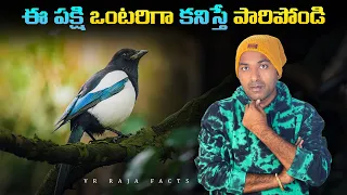 Telangana Police Viral Behavior On College Student | Top 10 Interesting Facts | V R Raja Facts