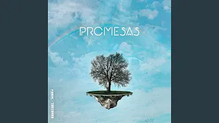 Promesas