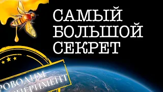 САМЫЙ БОЛЬШОЙ СЕКРЕТ ПЧЕЛ? | Ставим эксперимент