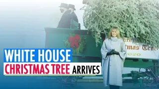 White House Christmas Tree arrives | First lady Melania Trump's Last Christmas at the White House