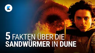 Dune: 5 wichtige Fakten über die Sandwürmer von Arrakis