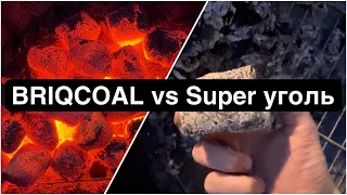 Брикеты BRIQCOAL vs Отборный березовый уголь.