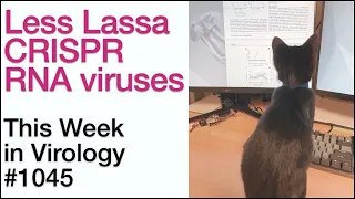 TWiV 1045: Less Lassa, CRISPR RNA viruses