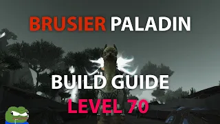 BRUISER PALADIN LEVEL 70 BUILD GUIDE - Project Ascension