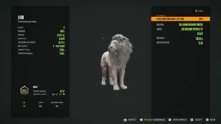 theHunter: Call of the Wild (VERY RARE! Albino Lion!)