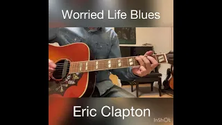 Worried Life Blues cover