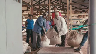 Campos Coffee - Life of a Kenyan Farmer