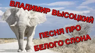 ВЫСОЦКИЙ. ПЕСНЯ ПРО БЕЛОГО СЛОНА | VYSOTSKY. A SONG ABOUT A WHITE ELEPHANT