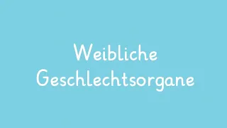 Das weibliche Geschlechtsorgan einfach erklärt | sofatutor