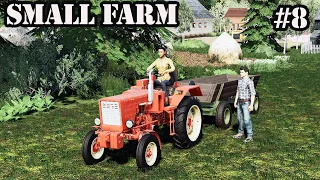 Collecting hay, tomatoes and red peppers. Small Farm. FS 19. Episode 8