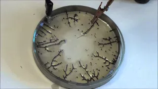 Self-Assembling Wires