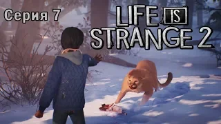 LIFE IS STRANGE 2 Прохождение - Эпизод 2 - Серия 7