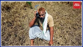 UP Farmer Loan Waiver : Good Politics , Bad Economy ?