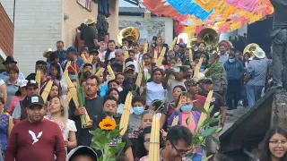 Un poco de la fiesta de mi pueblo || Totontepec 2023