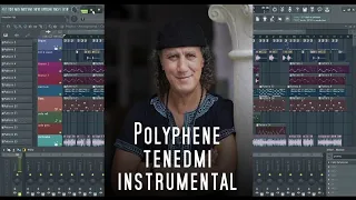 Mohamed Polyphene - Tenedmi Ala F3alek /محمد بوليفان - تندمي #Instrumental