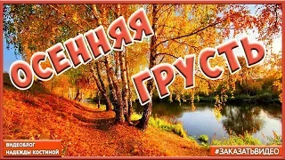 🍁 Золотая осень 🍁 красивая музыкальная видео открытка 🍂