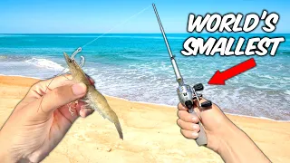 World's SMALLEST Fishing Rod vs OCEAN!! (Actually Works!)