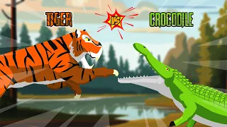 Tiger vs Crocodile | Apex Predator Tournament [S1] | Animal Animation