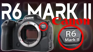 Canon R6 Mark II -обновка вышла!