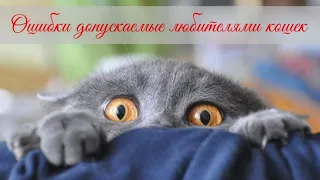 Ошибки, допускаемые любителями кошек  Mistakes made by cat lovers