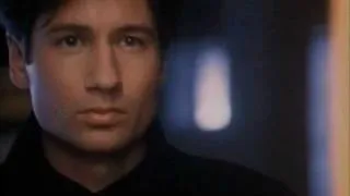 David Duchovny 7 - Burning In Love