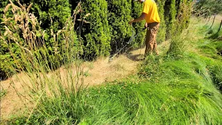 Mowing My Grandpa's Overgrown Lawn For FREE | Satisfying Yard Transformation