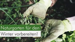 So macht ihr euren Naturgarten winterfest!