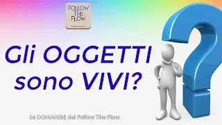 Gli OGGETTI sono VIVI? - Daniele Penna Risponde