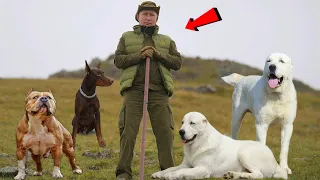 Страшно! Эти Собаки Охраняют Путина и Его Семью!