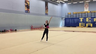Set Ball Routine - Level 1 Rhythmic Gymnastics